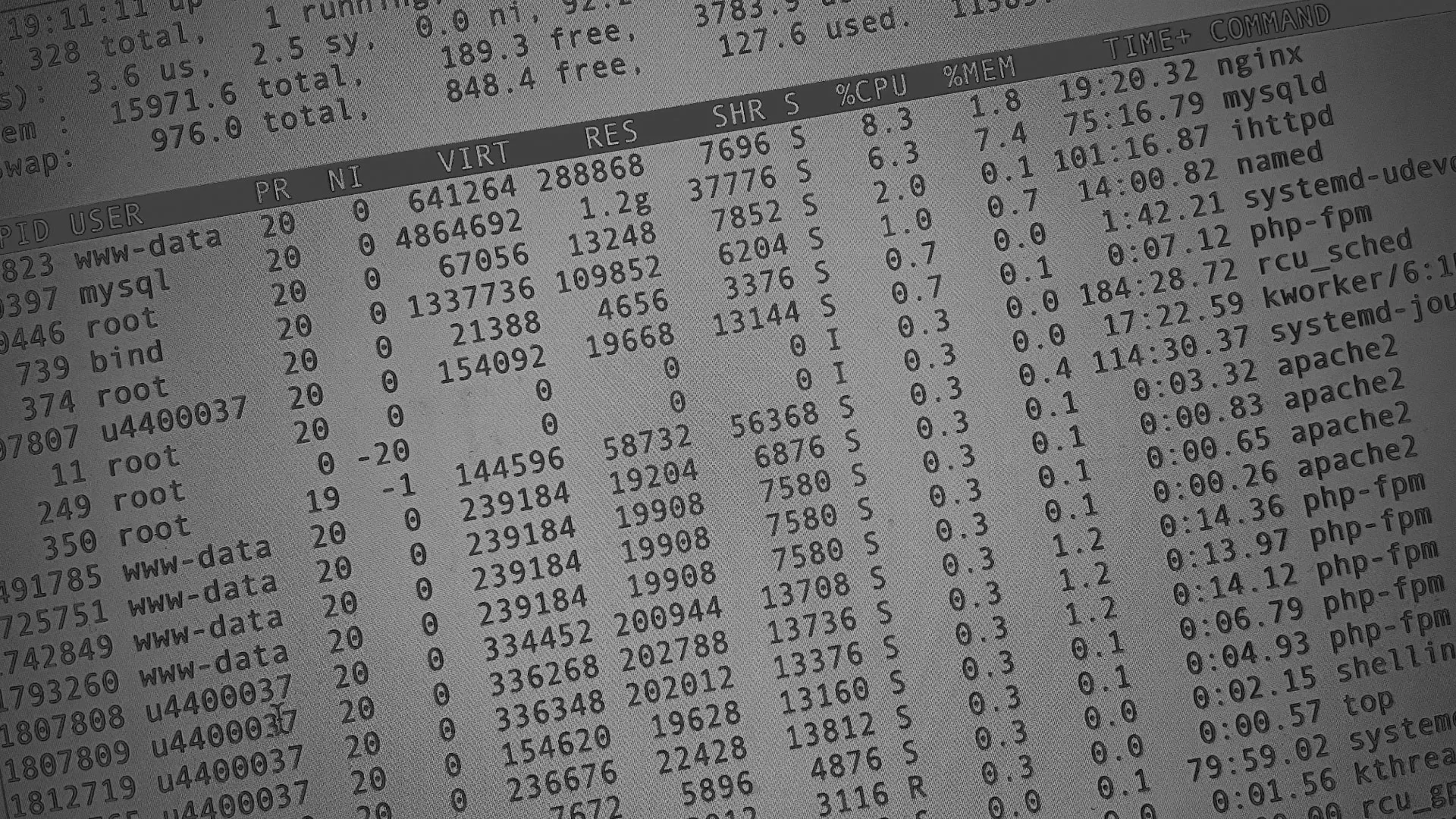 Настройка сервера в Боготоле