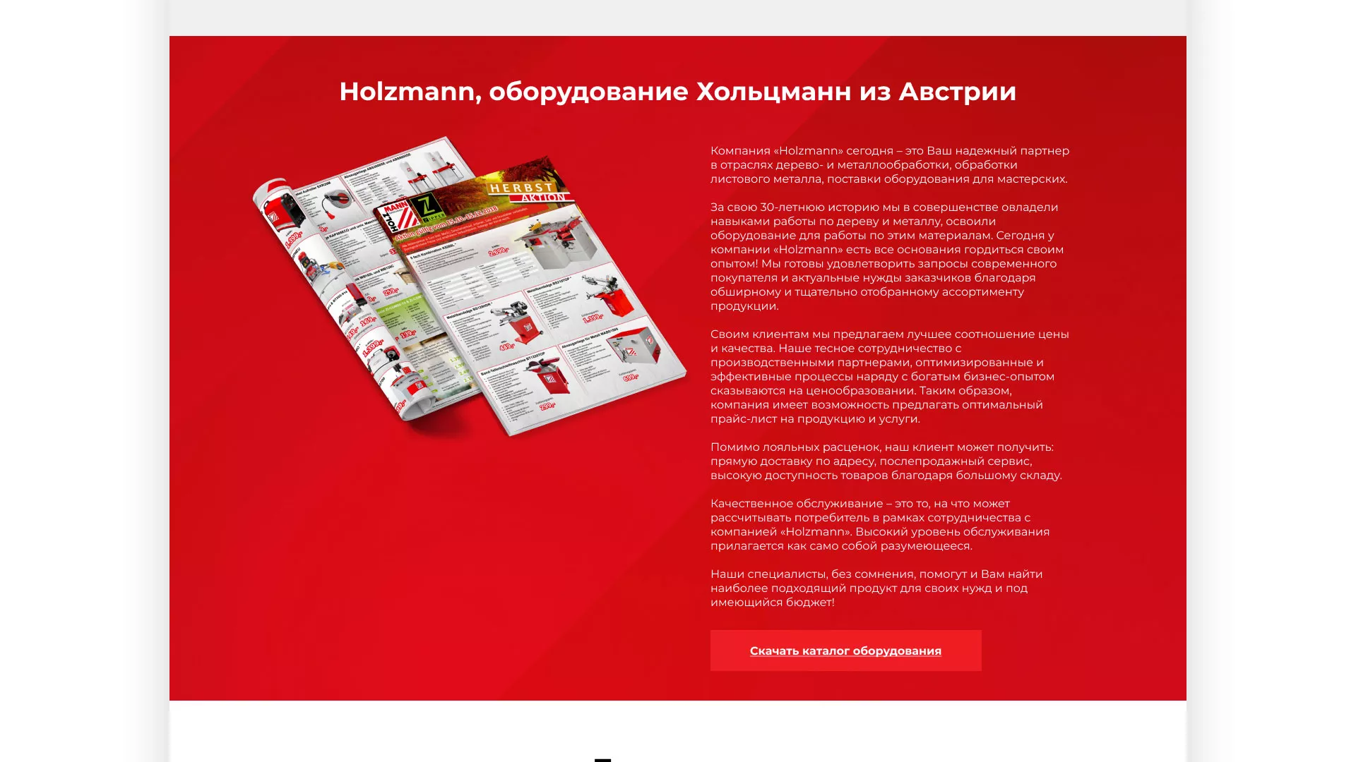 Создание сайта компании «HOLZMANN Maschinen GmbH» в Боготоле