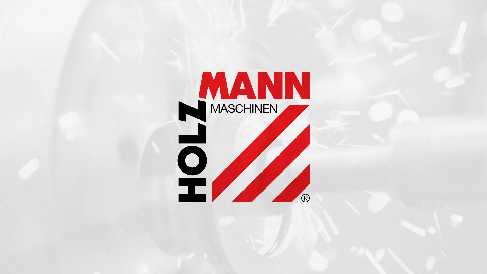 Создание сайта компании «HOLZMANN Maschinen GmbH» в Боготоле